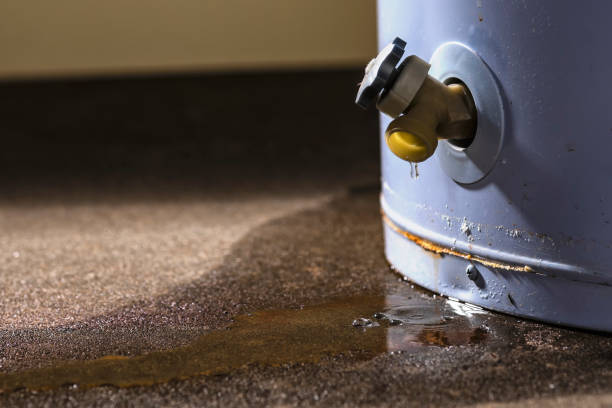 Best Basement water damage restoration  in Mays Chapel, MD