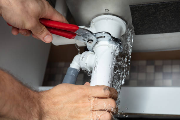 Best Professional water damage repair  in Mays Chapel, MD