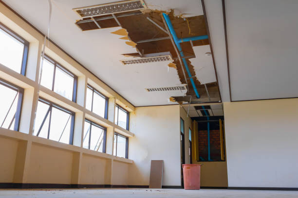 Best Flood damage cleanup  in Mays Chapel, MD
