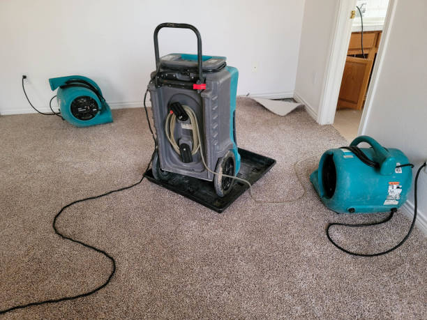 Best 24-hour water damage restoration  in Mays Chapel, MD