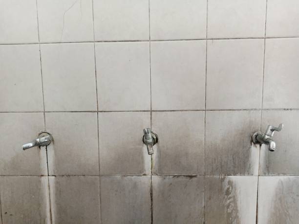 Best Water damage contractors near me  in Mays Chapel, MD