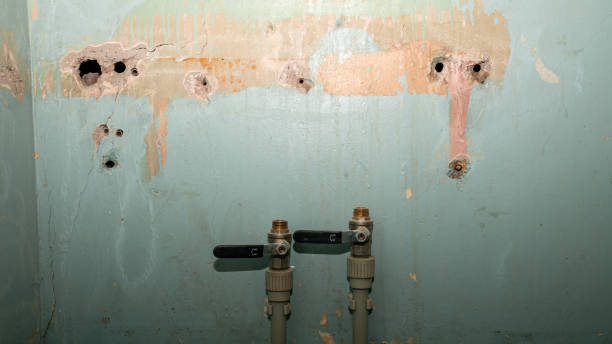 Best Commercial water damage restoration  in Mays Chapel, MD