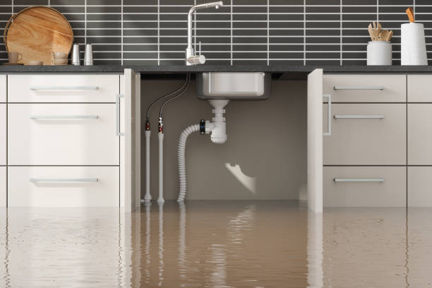 Best Mold removal after water damage  in Mays Chapel, MD