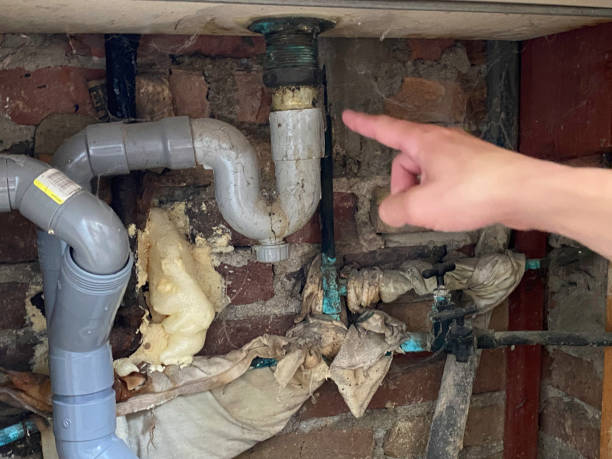 Best Water damage cleanup near me  in Mays Chapel, MD