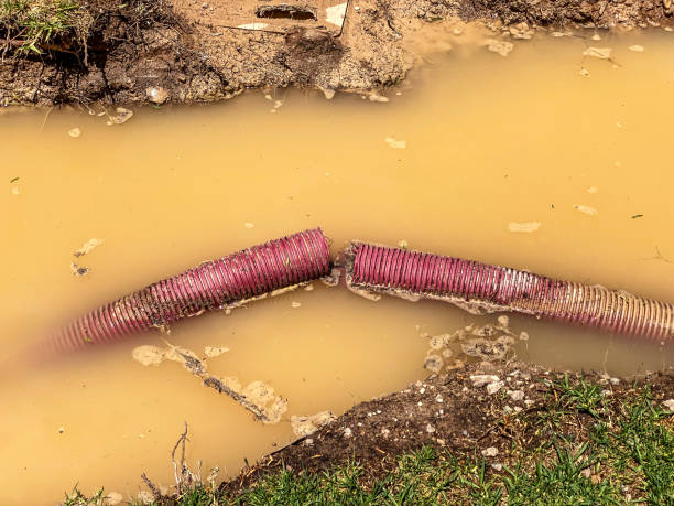 Sewage cleanup and water damage restoration in Mays Chapel, MD